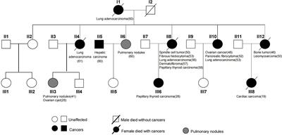 Whole exome sequencing identified a novel POT1 variant as a candidate pathogenic allele underlying a Li–Fraumeni-like family